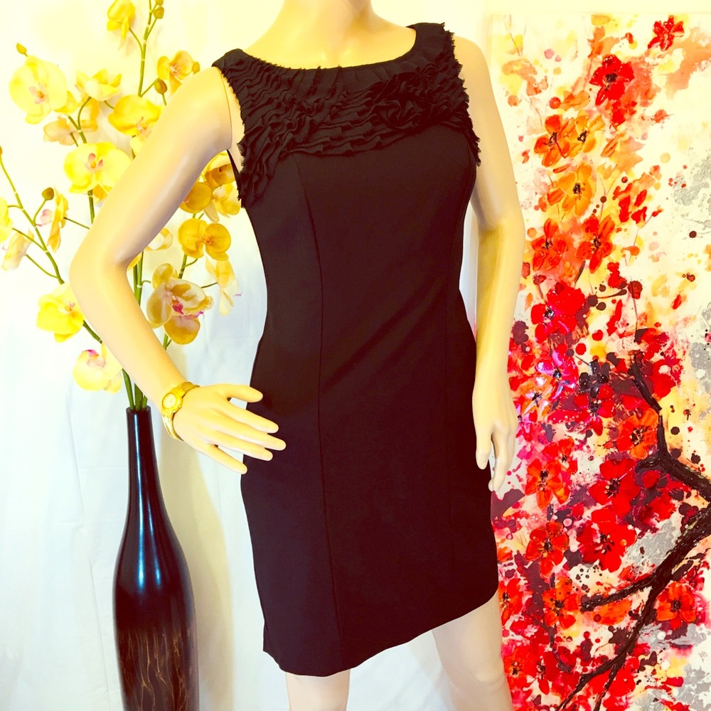 ❤️ Women’s Ann Taylor Petite Black Dress